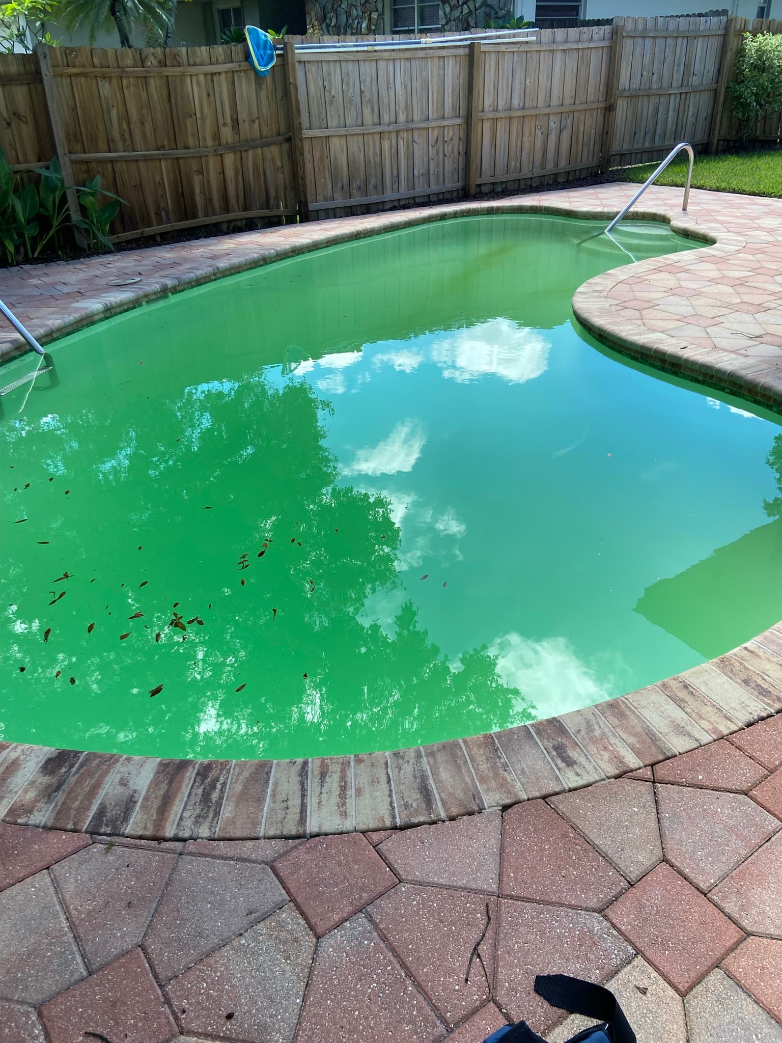 Weekly Pool Cleaning photo 4